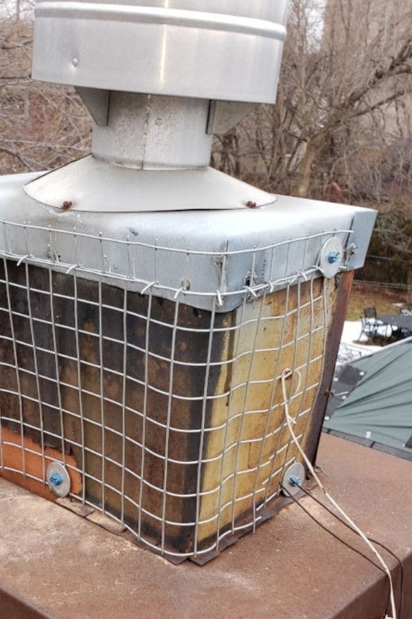 Squirrel Chimney Exclusion Using Galvanized Steel Mesh